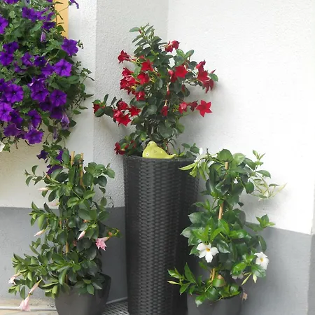 Harmonie Apartman Kaunertal