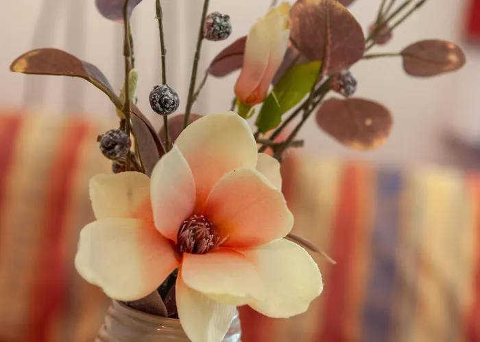 أبارت هارموني